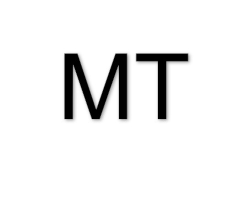 Michael Tuerk Holding GmbH