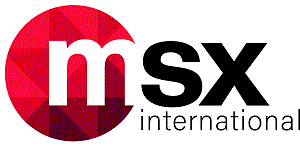 MSX International GmbH